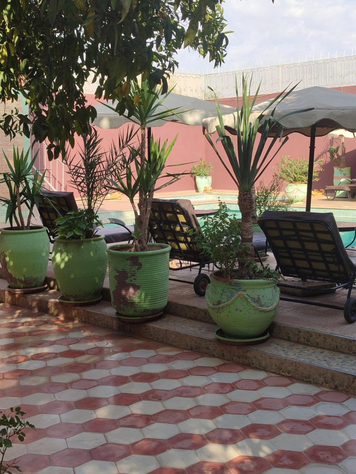 טרודאנט Riad Les Jardins Mabrouk מראה חיצוני תמונה